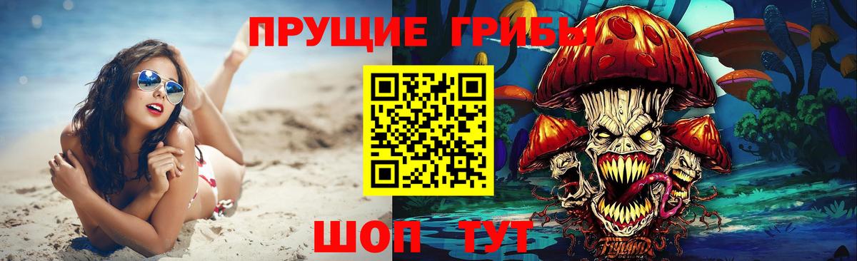 Псилоцибиновые грибы Cubensis  Вход с VPN  Галлюциногенные грибы Psilocybe  Кулебаки 