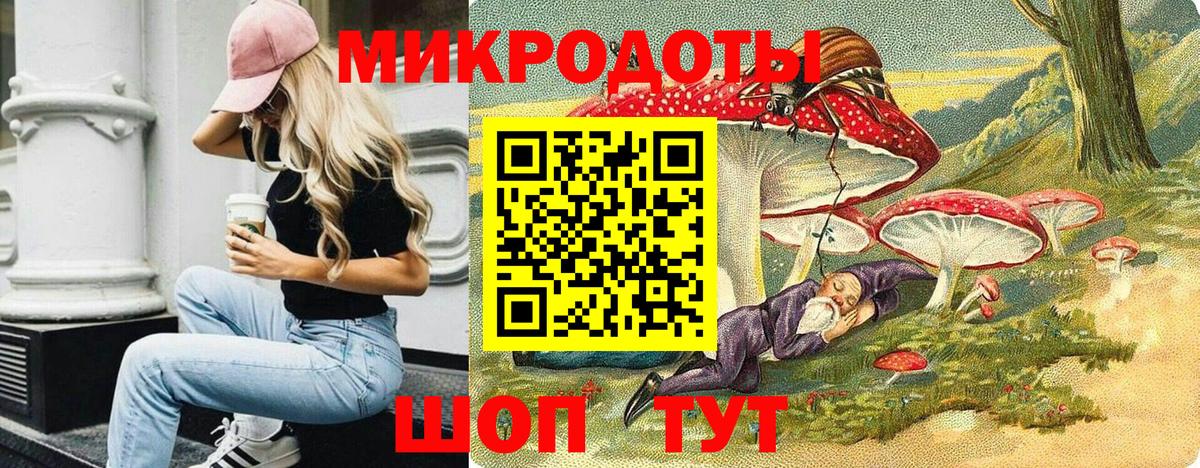 Галлюциногенные грибы Psilocybe Кулебаки